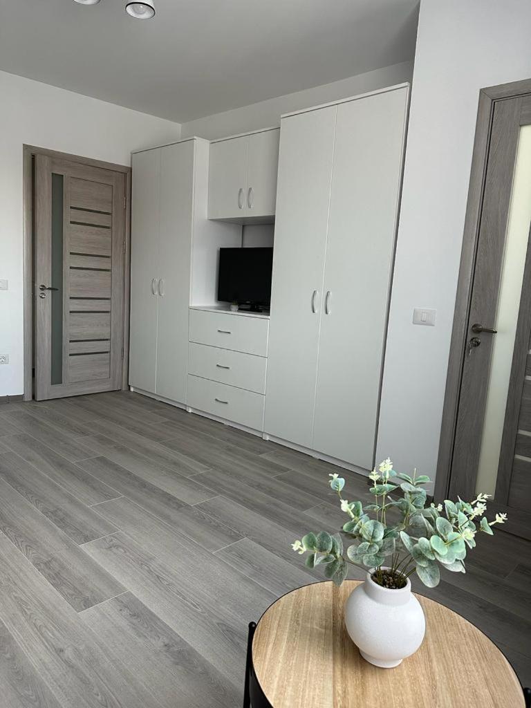 Cozy Studios In Сучава Экстерьер фото