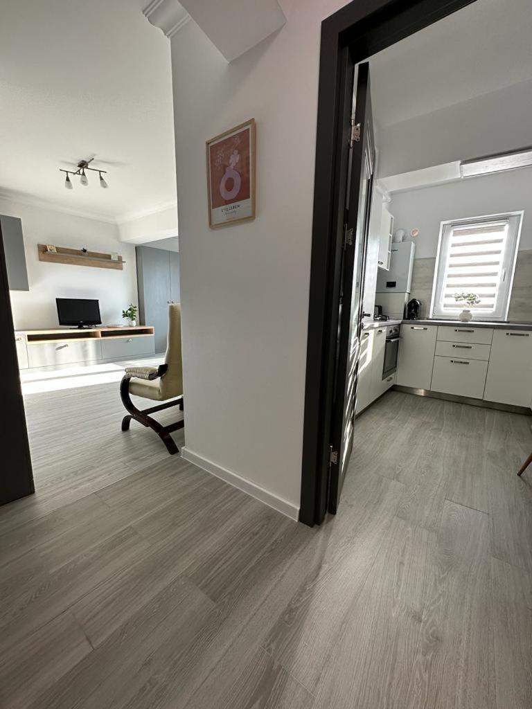 Cozy Studios In Сучава Экстерьер фото