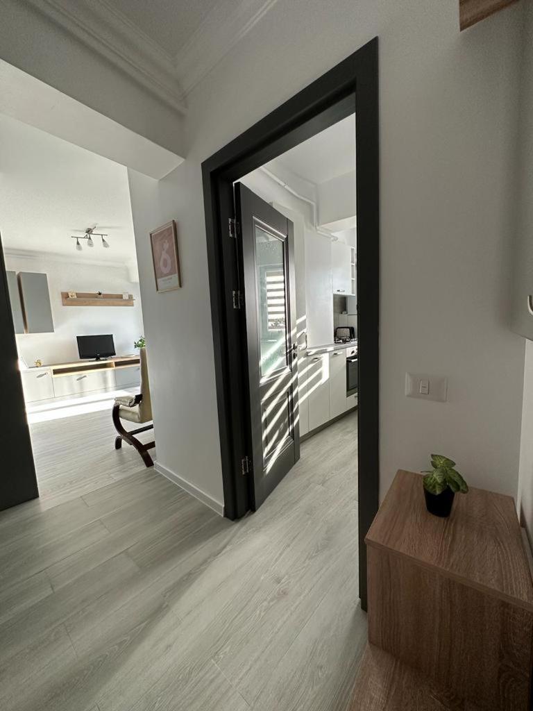 Cozy Studios In Сучава Экстерьер фото